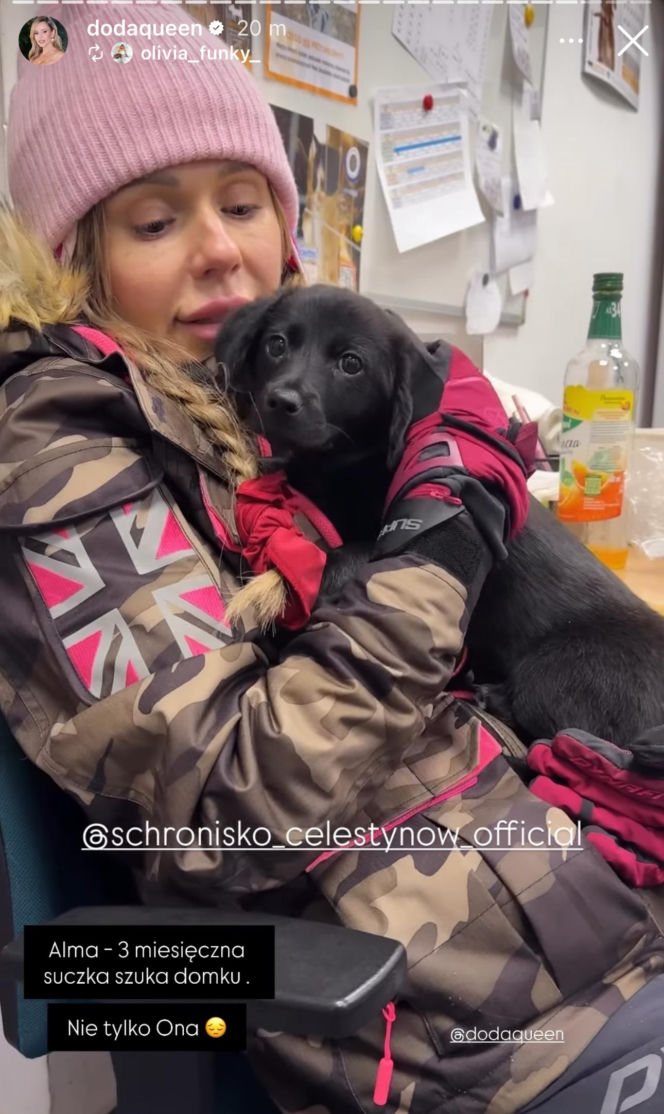 Doda ratuje psy przed mrozem