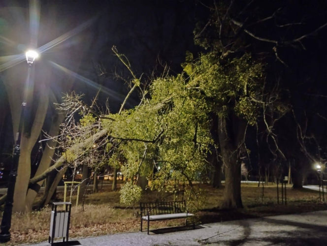 Wichura zniszczyła zabytkową kapliczkę przy sanktuarium