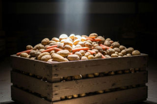 Ceny w skupie spadają na łeb na szyję!