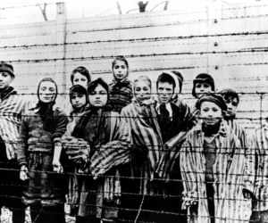 Wstyd mu za Auschwitz