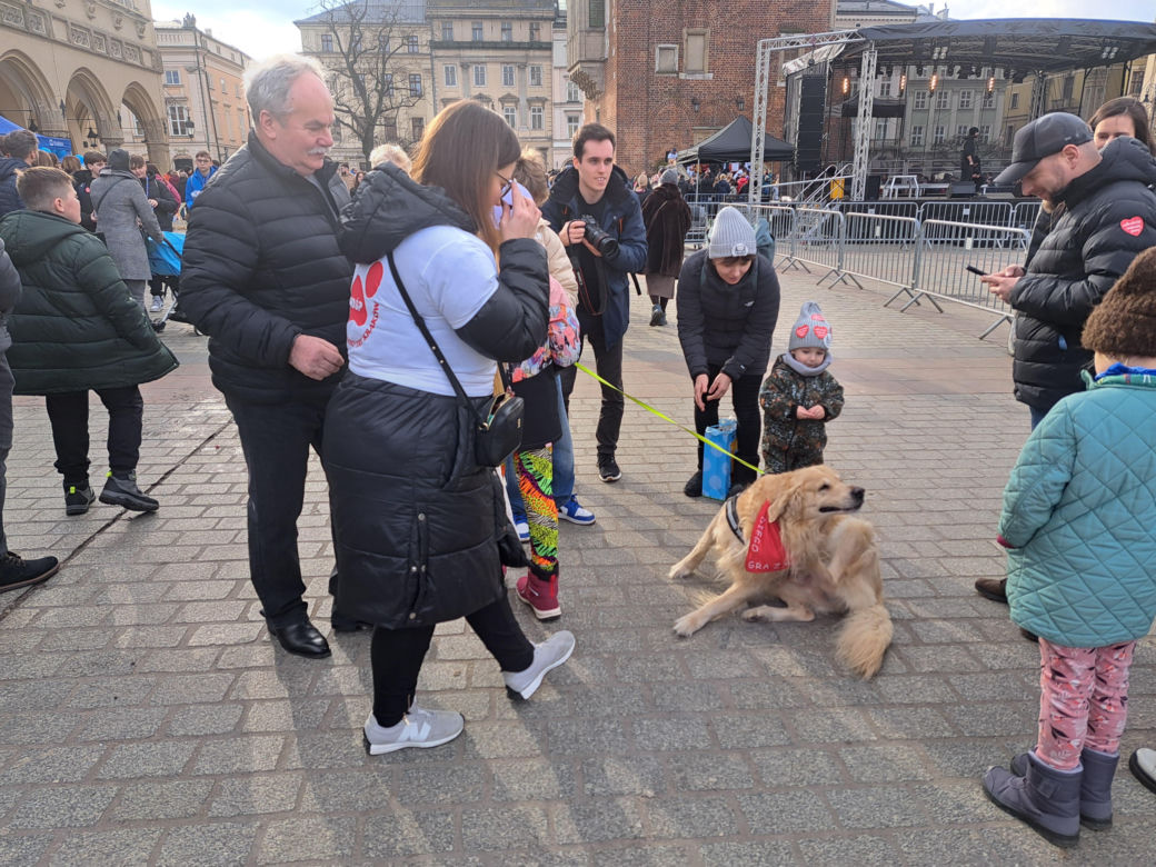 33. Finał WOŚP z grupą krakowskich Golden Retrieverów