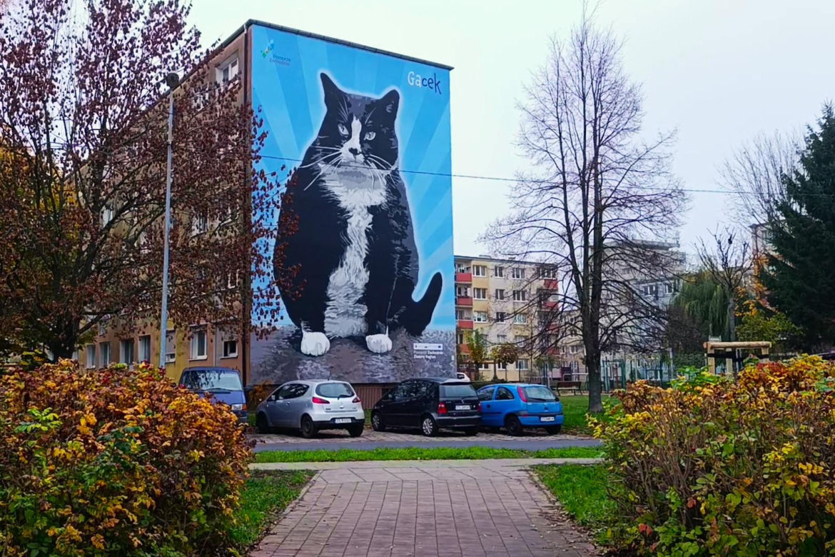 Mural z kotem Gackiem już odsłonięty
