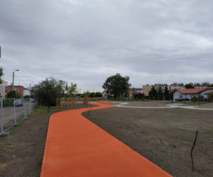 park Gronowo
