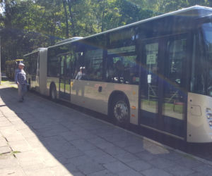 Pierwszy kurs autobusu przegubowego w Grudziądzu