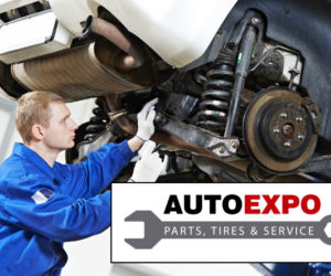 Auto Expo 2014