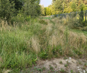 Mieszkańcy nie chcą asfaltowni w Wołyńcach
