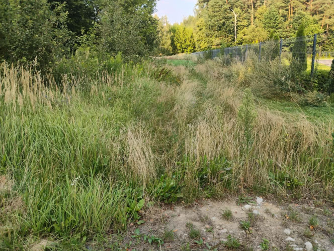 Mieszkańcy nie chcą asfaltowni w Wołyńcach