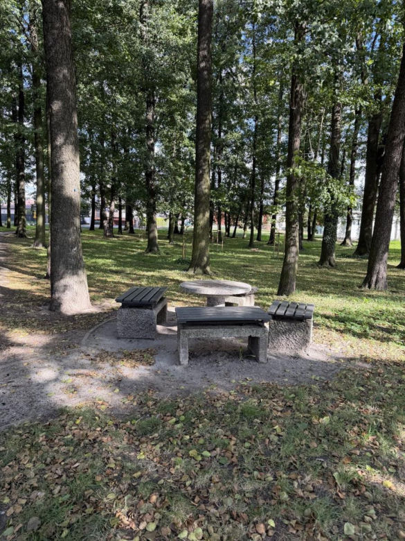 Na Gronowie powstanie park z podwieszaną kładką
