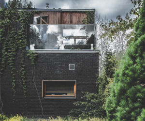 Jungle House - dom wśród drzew