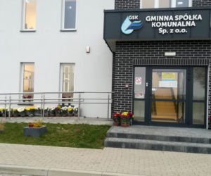 Wyjątkowo kolorowa jesień w Gminie Iława. Wszędzie chryzantemny!