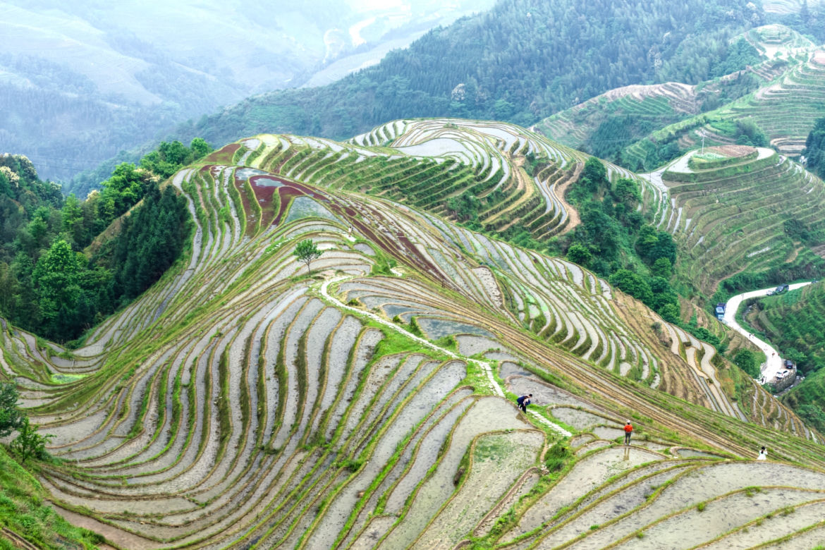 8 PingAn (Chiny)