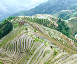 8 PingAn (Chiny)