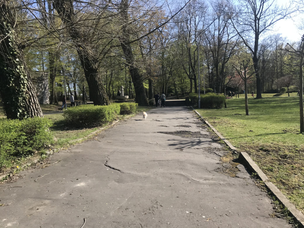 Katowice: Tłumy w Parku Kościuszki. Mieszkańcy ruszyli na spacery