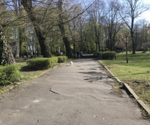 Katowice: Tłumy w Parku Kościuszki. Mieszkańcy ruszyli na spacery