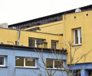 Suwałki. 30 nowych budek dla jerzyków pojawiło się na terenie miasta [ZDJĘCIA]