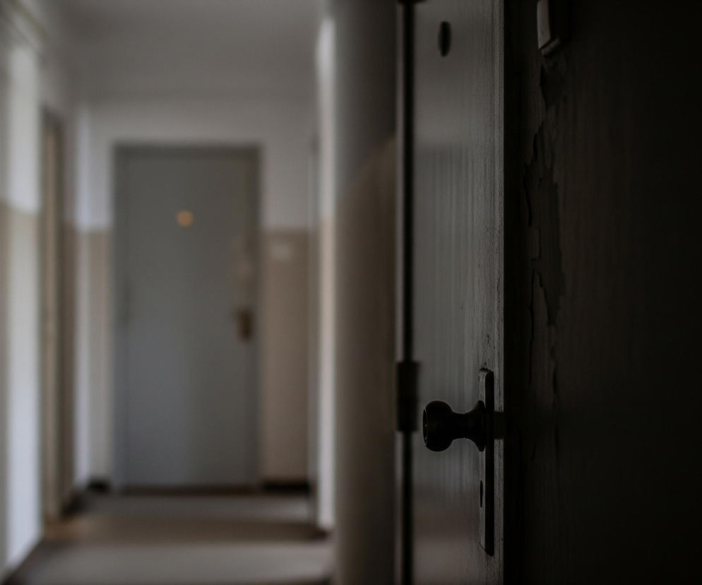Ciemna, częściowo otwarta drewniana klapa w przedpokoju dominuje po prawej stronie kadru, z wyraźnie widoczną, okrągłą czarną klamką na tle ciemnego tła. Dalej, w rozmazanym tle, widać długi korytarz z kremowo-białymi ścianami, rozdzielonymi ciemniejszymi panelami w dolnej części. Na końcu korytarza znajduje się zamknięte, jasnoszare drzwi z małym, okrągłym wizjerem w pomarańczowym kolorze. Całość oświetlona jest nierównomiernie, tworząc kontrast między jasnymi, rozmytymi obszarami a głębokimi cieniami.