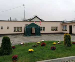 Wyjątkowo kolorowa jesień w Gminie Iława. Wszędzie chryzantemny!