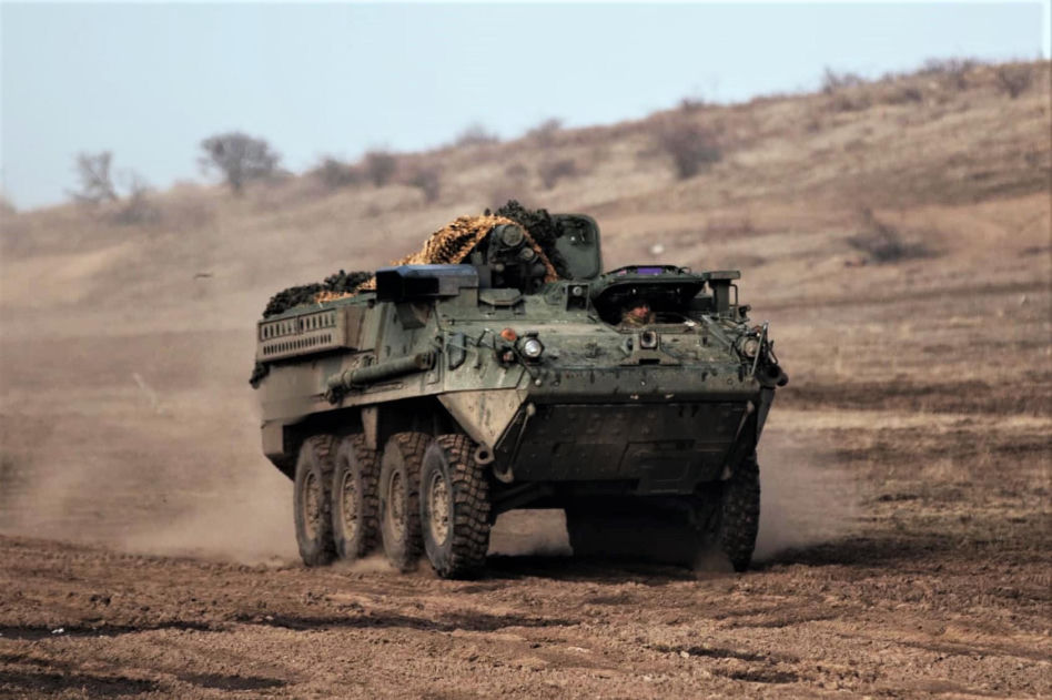 Transporter Stryker na Ukrainie