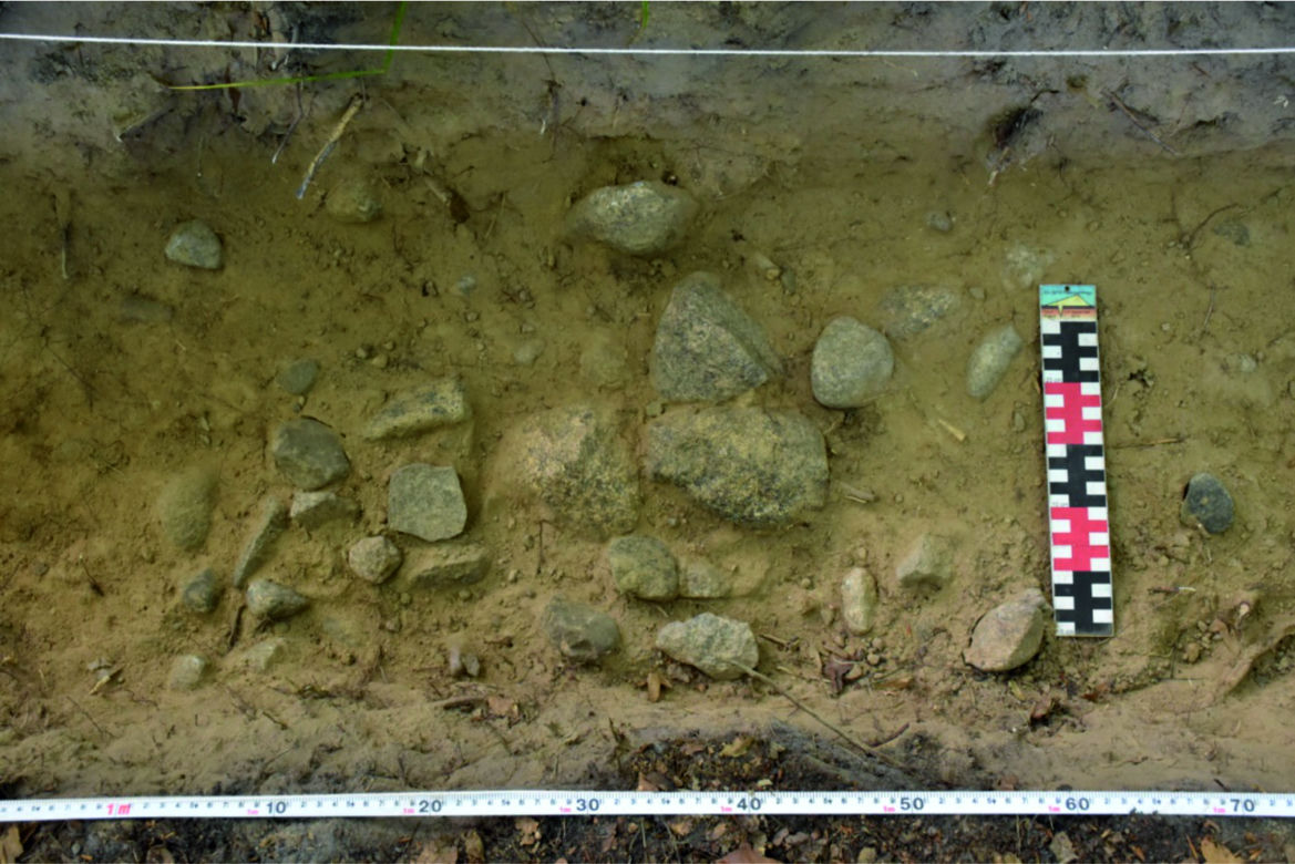 Niezwykłe odkrycie archeologów z UMK w Toruniu!