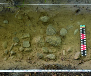 Niezwykłe odkrycie archeologów z UMK w Toruniu!