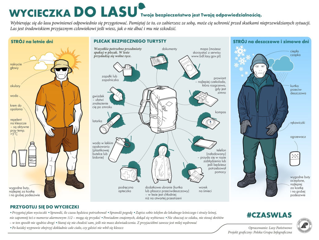 Survival i bushcraft w polskich lasach. Zobacz, gdzie możesz uprawiać swoje hobby