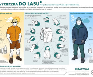 Survival i bushcraft w polskich lasach. Zobacz, gdzie możesz uprawiać swoje hobby
