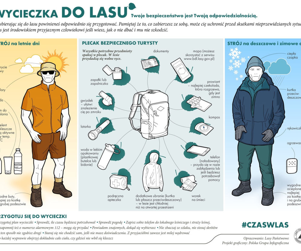 Survival i bushcraft w polskich lasach. Zobacz, gdzie możesz uprawiać swoje hobby