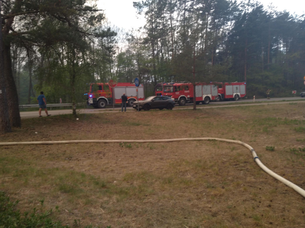 Pożar w Puszczy Białowieskiej