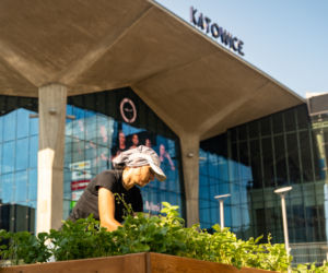 Miejska farma i ekowarsztaty - Galeria Katowicka wypuszcza zieleń w miasto