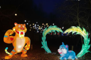 Garden of Lights