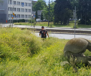 Znika bydgoski busz! To miały być oszczędności i walka z suszą. Ogrodnik ma inne zdanie