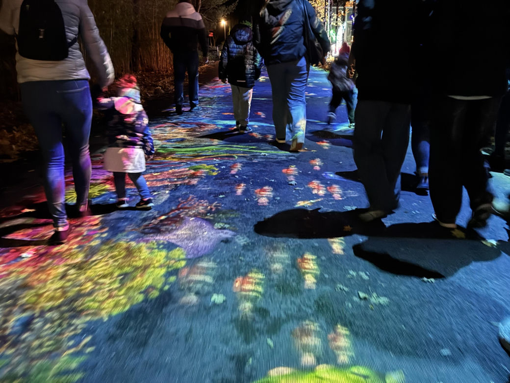 Garden of Lights we Wrocławiu
