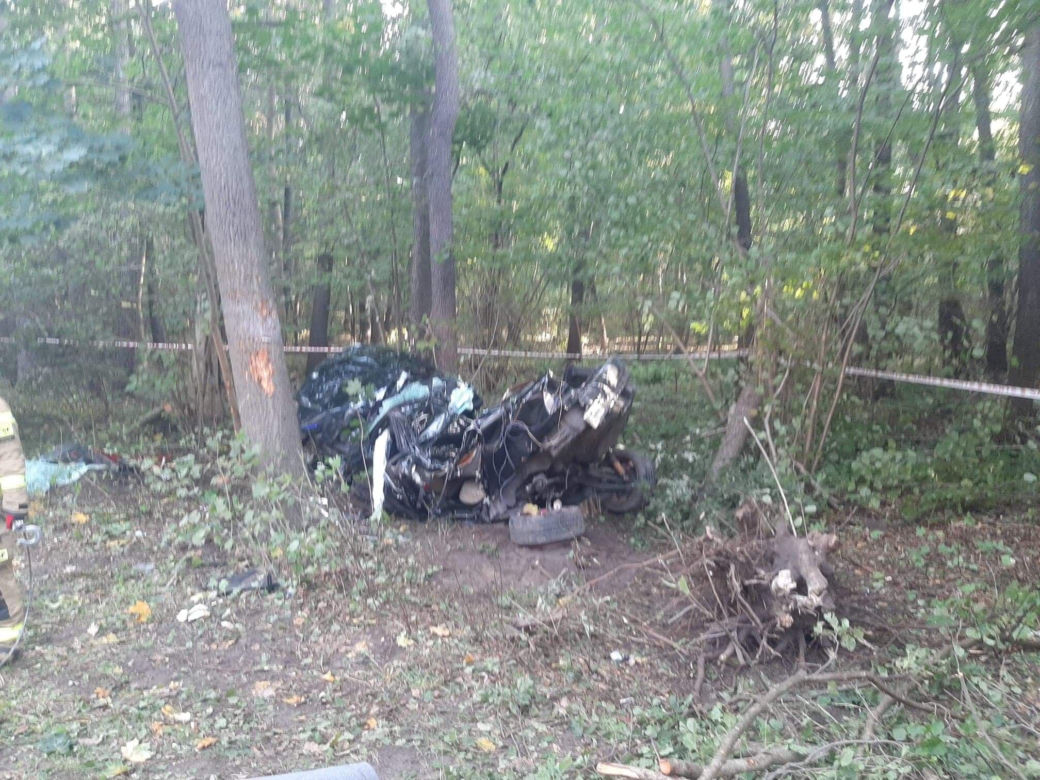 BMW owinęło się wokół drzewa, kierowcę z wraku wydobyli strażacy