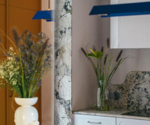 Dom pod Warszawą - projekt Hanna Pietras, Anna Petrova