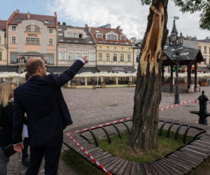 Drzewo na rynku zagrożone. Wczorajsza burza ułamała jeden z konarów