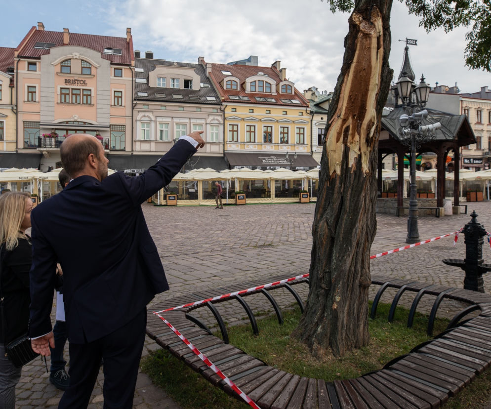 Drzewo na rynku zagrożone. Wczorajsza burza ułamała jeden z konarów
