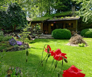 Ogród w Młodzawach Małych. Wiosną zachwyca dywanami kwiatów 