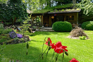 Ogród w Młodzawach Małych. Wiosną zachwyca dywanami kwiatów 