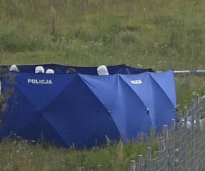 Znaleziono poszukiwanego Dawida