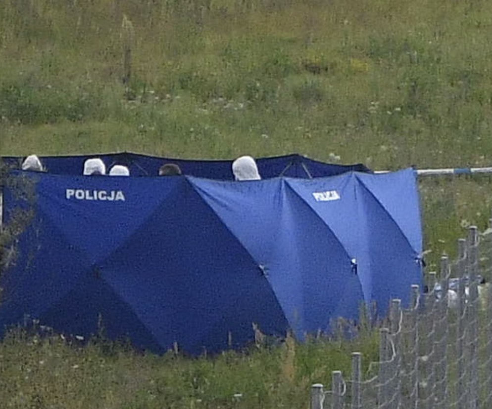 Znaleziono poszukiwanego Dawida