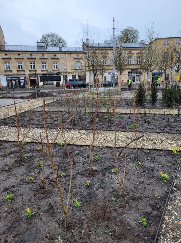 Kraków. Park im. Wisławy Szymborskiej przy ul. Karmelickiej nabiera kształtów