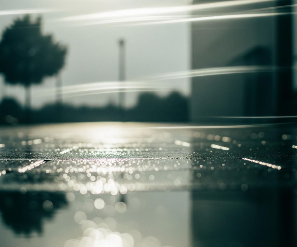 Powierzchnia ziemi jest pokryta wodą, tworząc lśniącą, odbijającą światło taflę, na której widoczne są liczne, jasne, rozmyte refleksy świetlne. W oddali po lewej stronie majaczy ciemna sylwetka drzewa bez liści, a za nim niewyraźny obrys kolejnych drzew lub krzewów. Horyzont dominuje jasne, rozproszone światło, tworząc długie, poziome smugi i rozbłyski rozciągające się przez całą szerokość obrazu. Po prawej stronie w tle widoczna jest ciemna bryła budynku z pionowymi, niewyraźnymi elementami przypominającymi okna lub ramy.