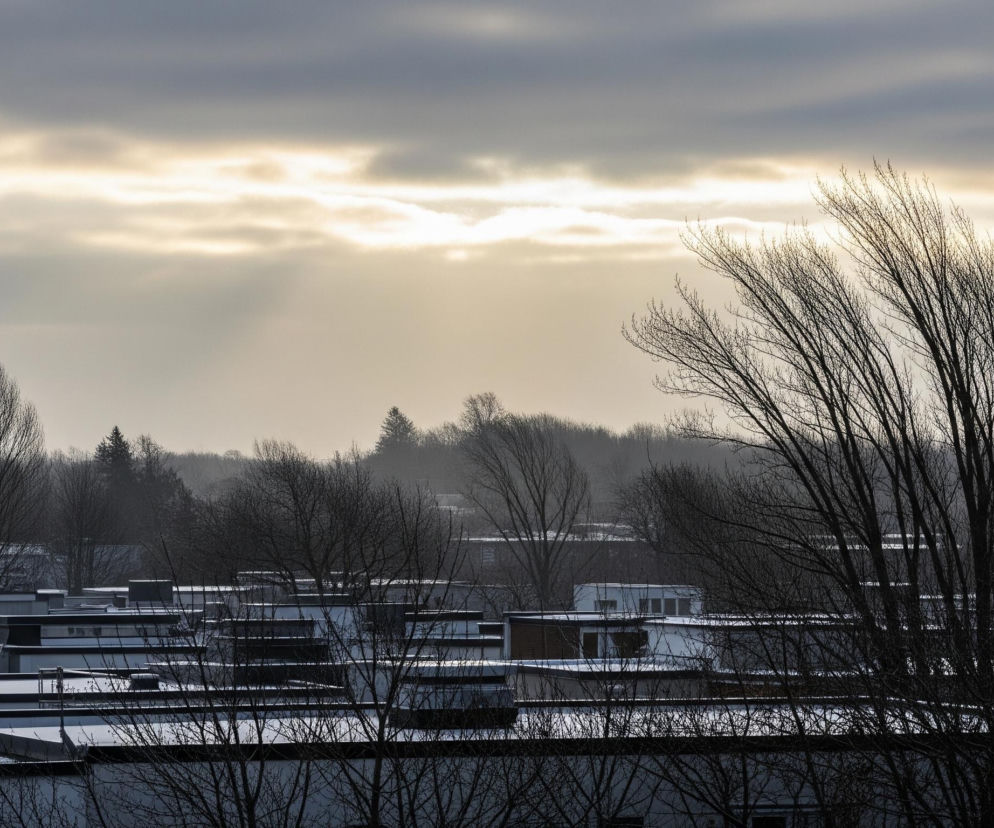 Na pierwszym planie, z prawej strony, dominuje nagie drzewo o ciemnych, wijących się gałęziach. Pod nim i w głębi obrazu rozciągają się płaskie dachy budynków, pokryte cienką warstwą śniegu, co tworzy mozaikę białych i czarnych powierzchni. Dalej w tle widoczne są liczne drzewa o nagich konarach, tworzące ciemną, rozmazaną linię horyzontu. Nad nimi rozciąga się zachmurzone niebo z jaśniejszym, złotawym pasem światła prześwitującego przez chmury, sugerującym zachód lub wschód słońca.
