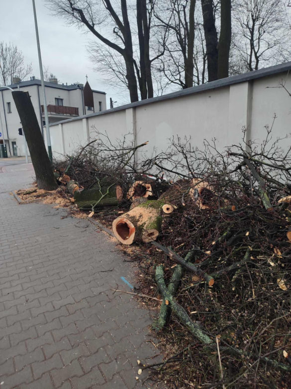Nowa ścieżka rowerowa na al. 29 Listopada. Skończyło się rzezią drzew