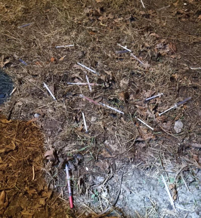 Trawnik usłany strzykawkami i igłami. Strażnicy nazbierali pół wiadra!