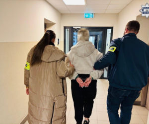 Brutalne pobicie w Rudzie Śląskiej. 17-latka trafiła do aresztu