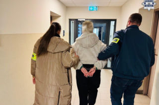 Brutalne pobicie w Rudzie Śląskiej. 17-latka trafiła do aresztu