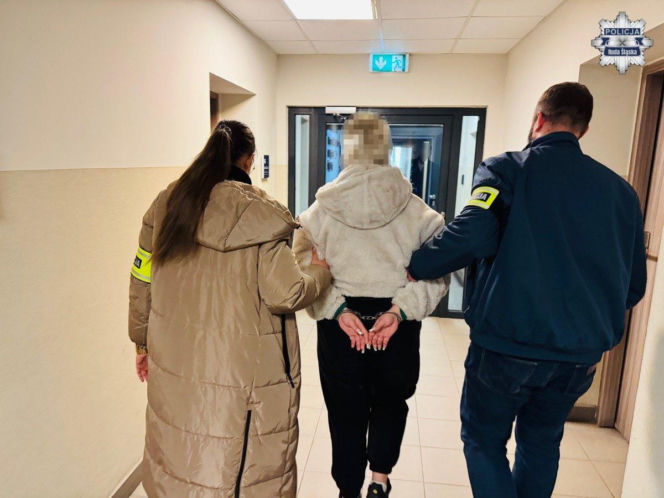 Brutalne pobicie w Rudzie Śląskiej. 17-latka trafiła do aresztu