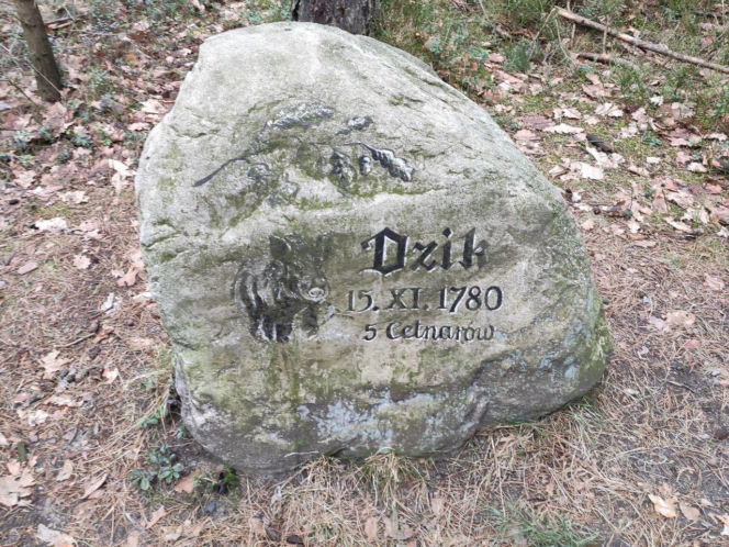 Okolice Kotliny Raciborskiej