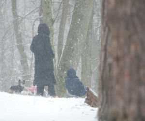 Marta Kaczyńska z synem i psami na sankach w lesie